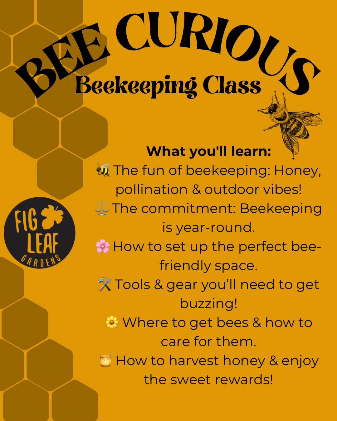 Bee Curious Beekeeping