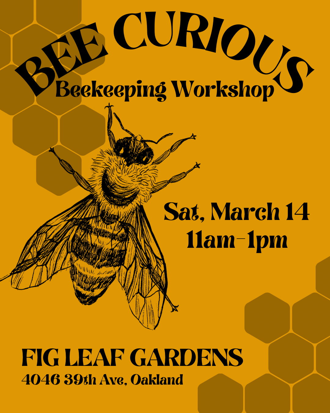 Bee Curious Beekeeping