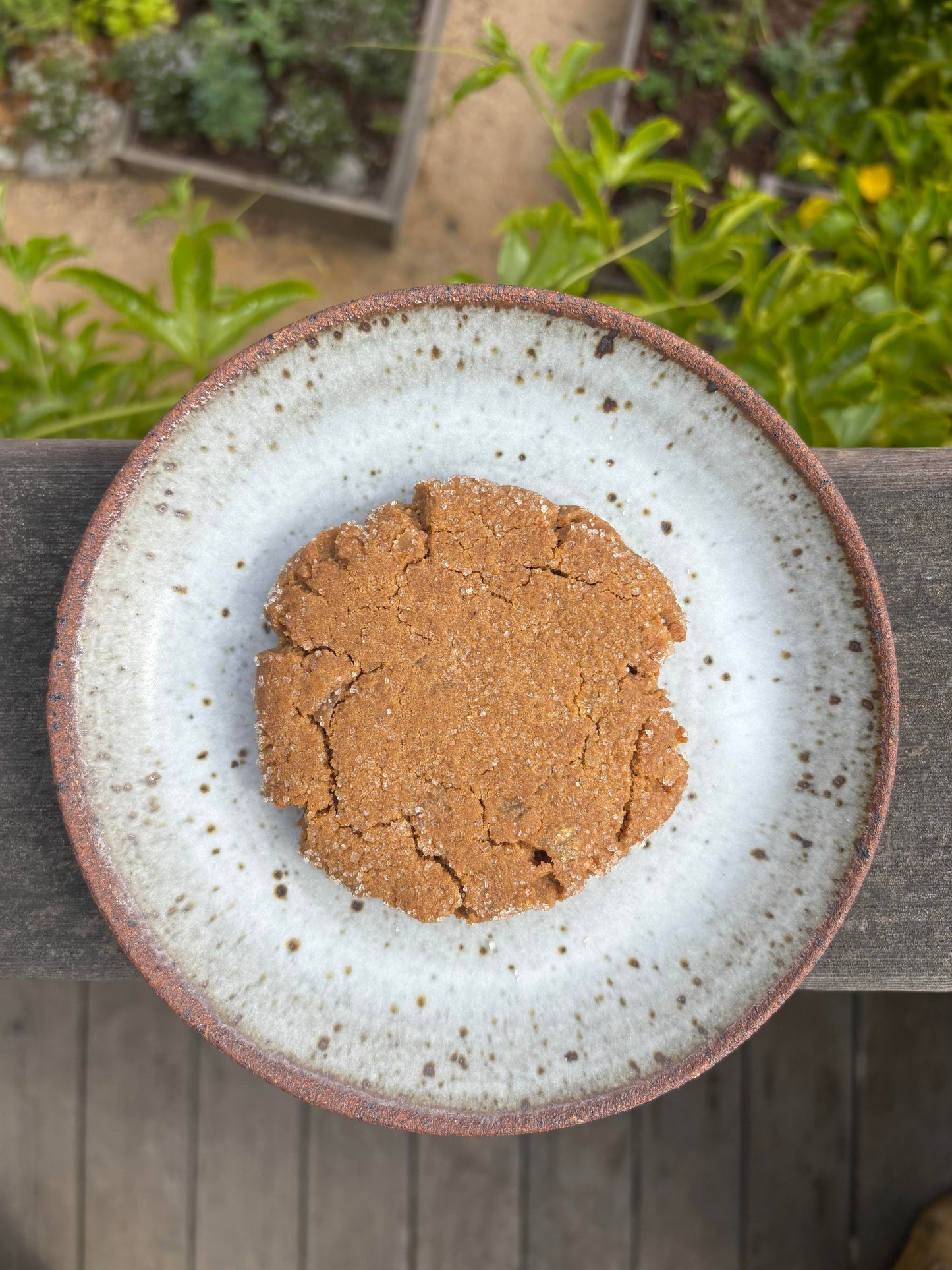 Ginger Cookie