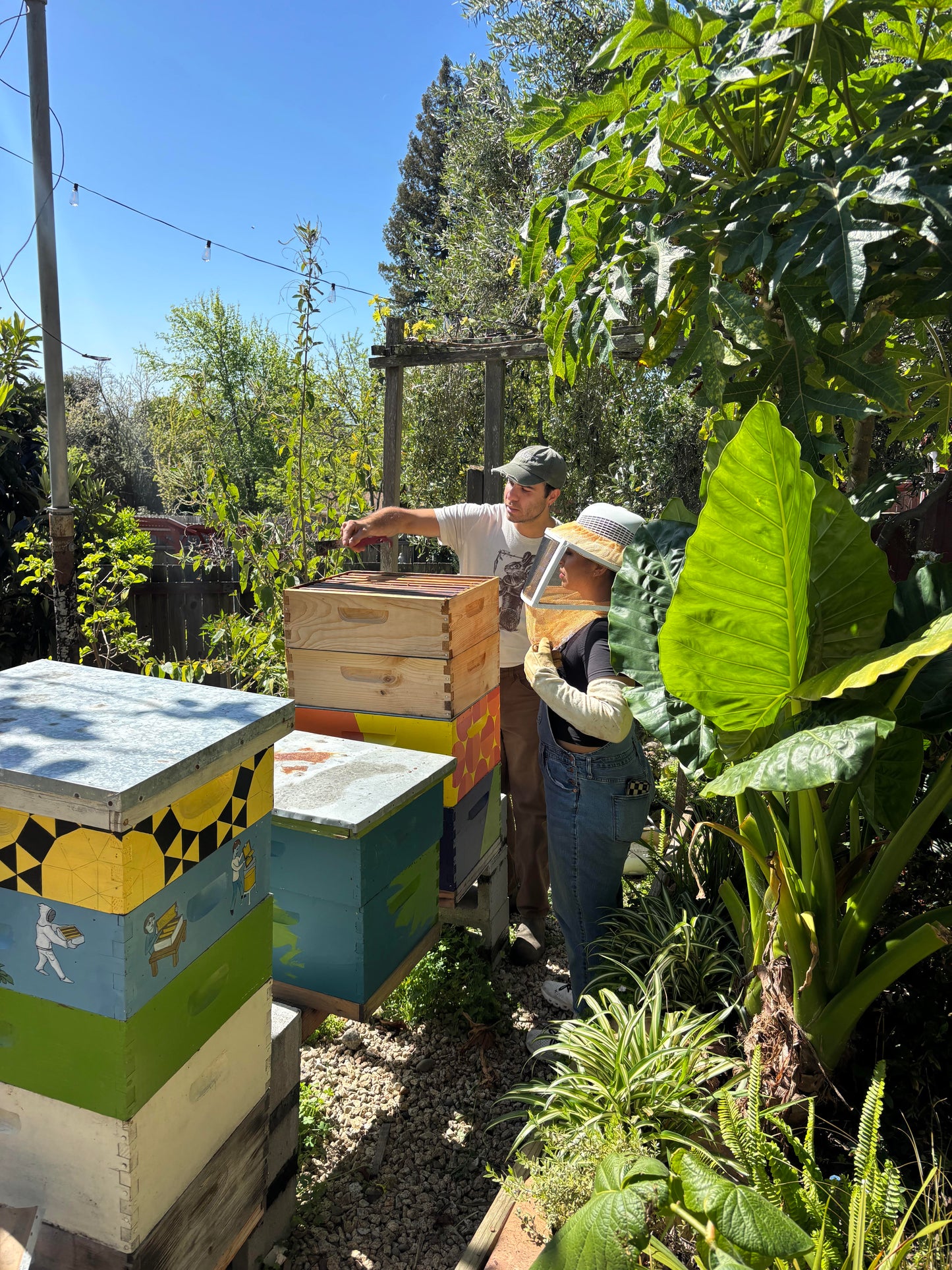 Bee-yond the Basics Beekeeping Workshop