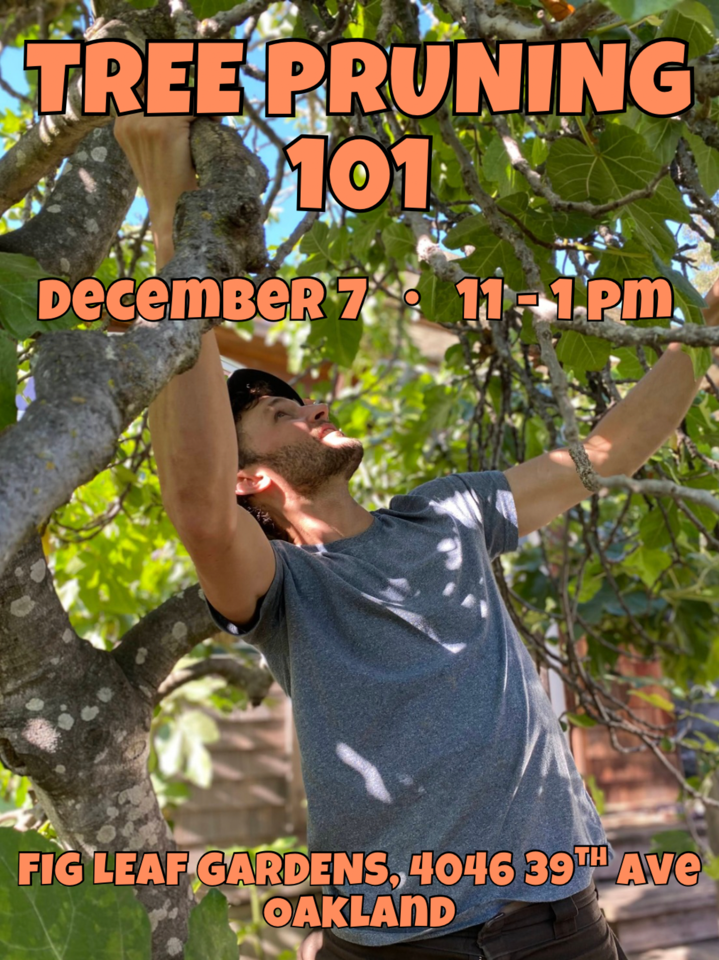 Fruit Tree Pruning 101 - 12/7