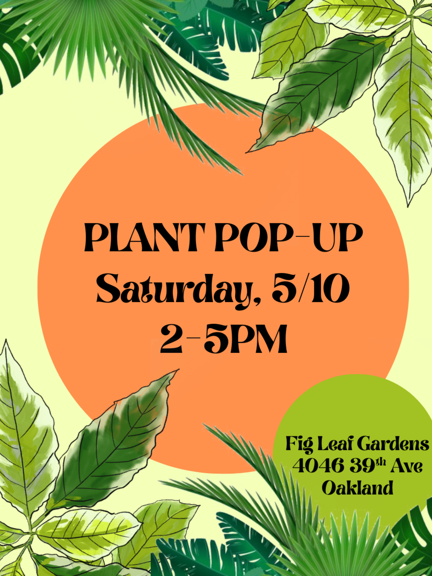 Plant Pop-Up 5/10