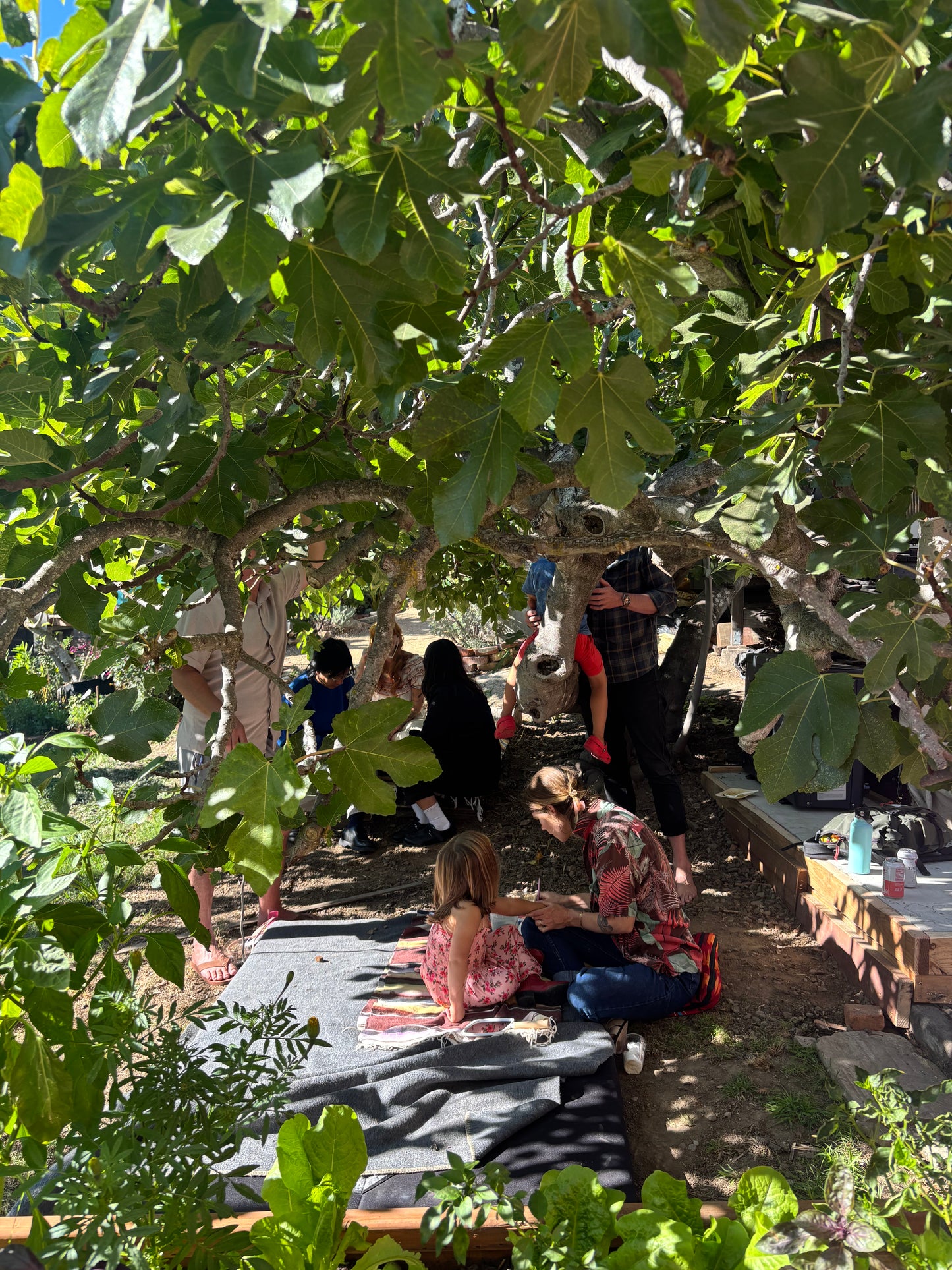 Summer Garden Party 6/20