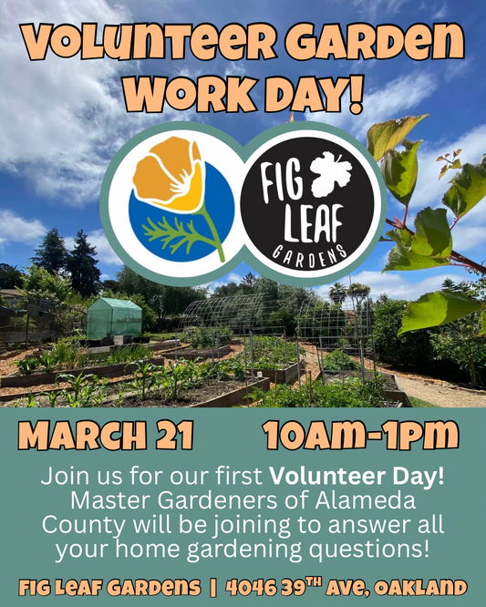 Volunteer Garden Work Day