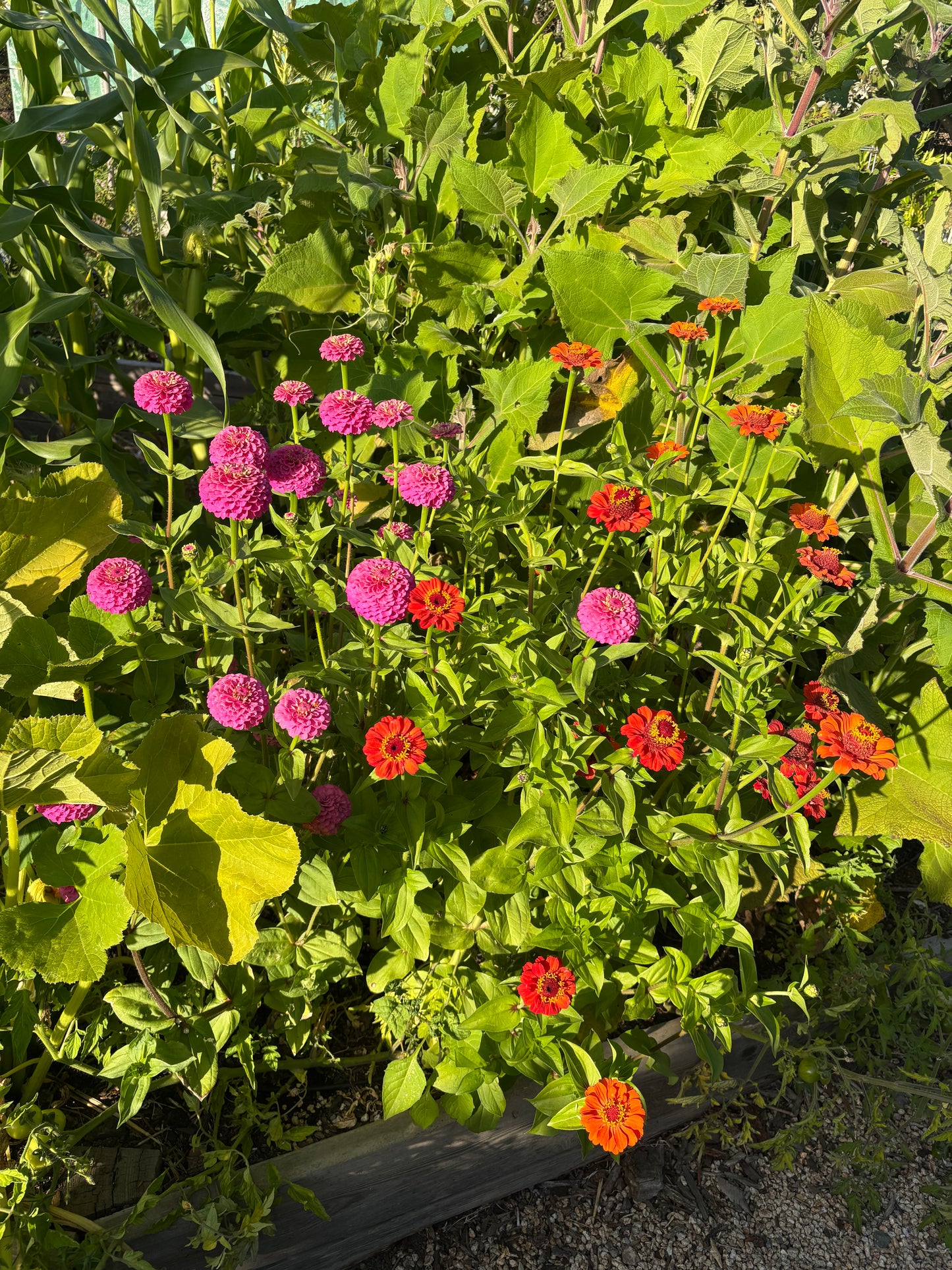 Summer Garden Party - July 12