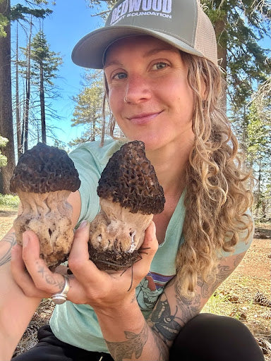 Urban Mycology Workshop 🍄